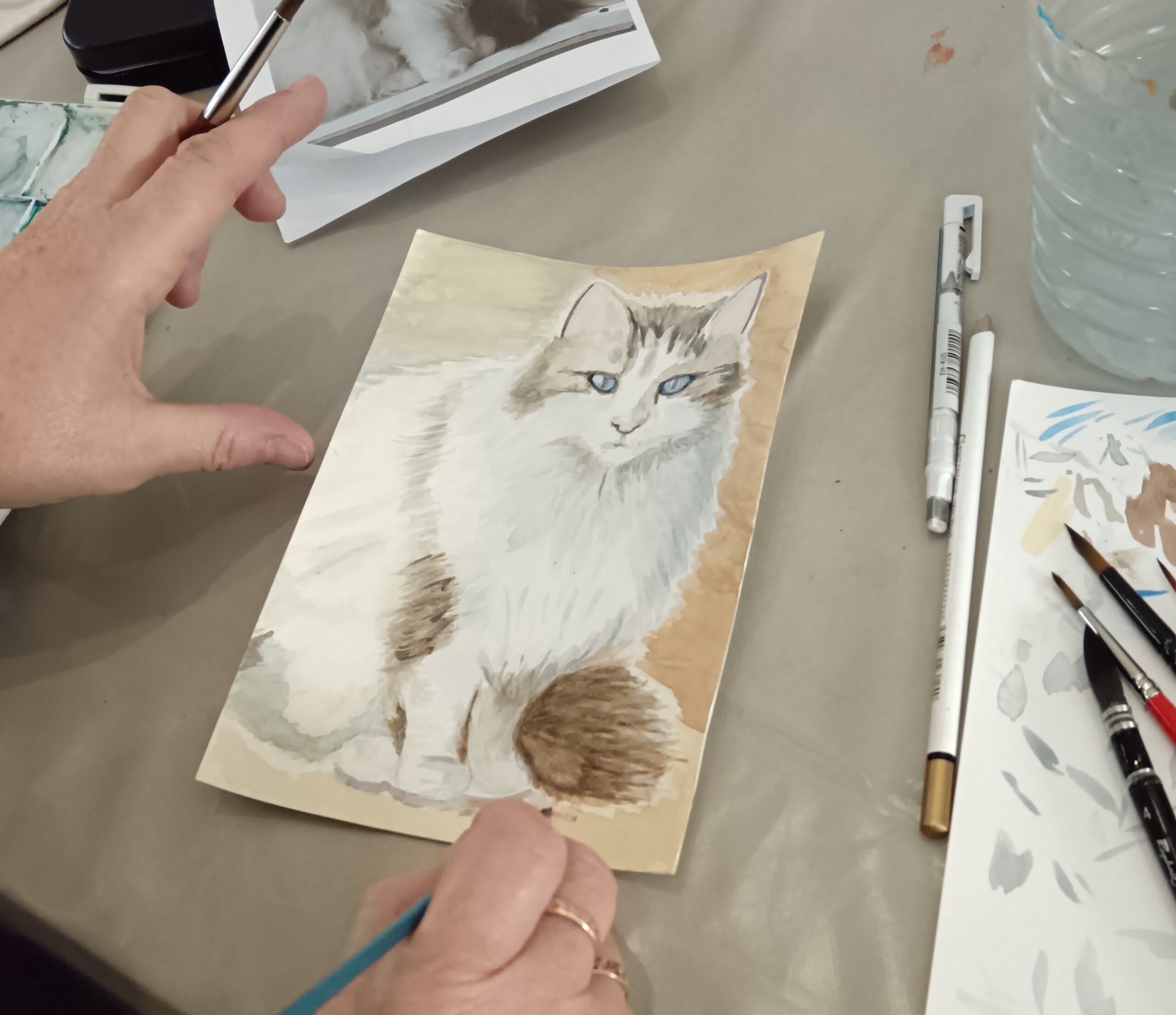 atelier adulte, les animaux aquarelle