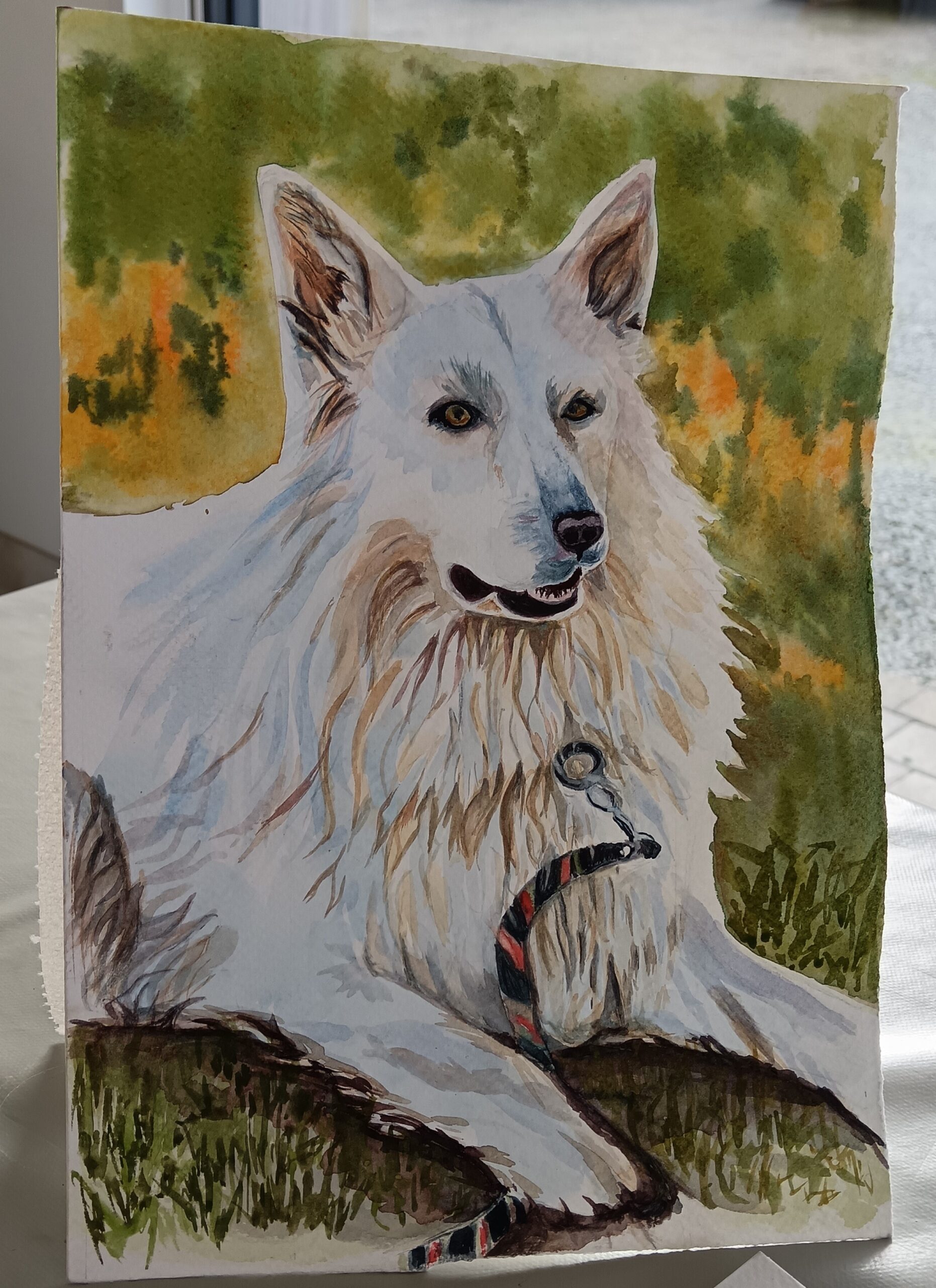 atelier adulte, les animaux aquarelle