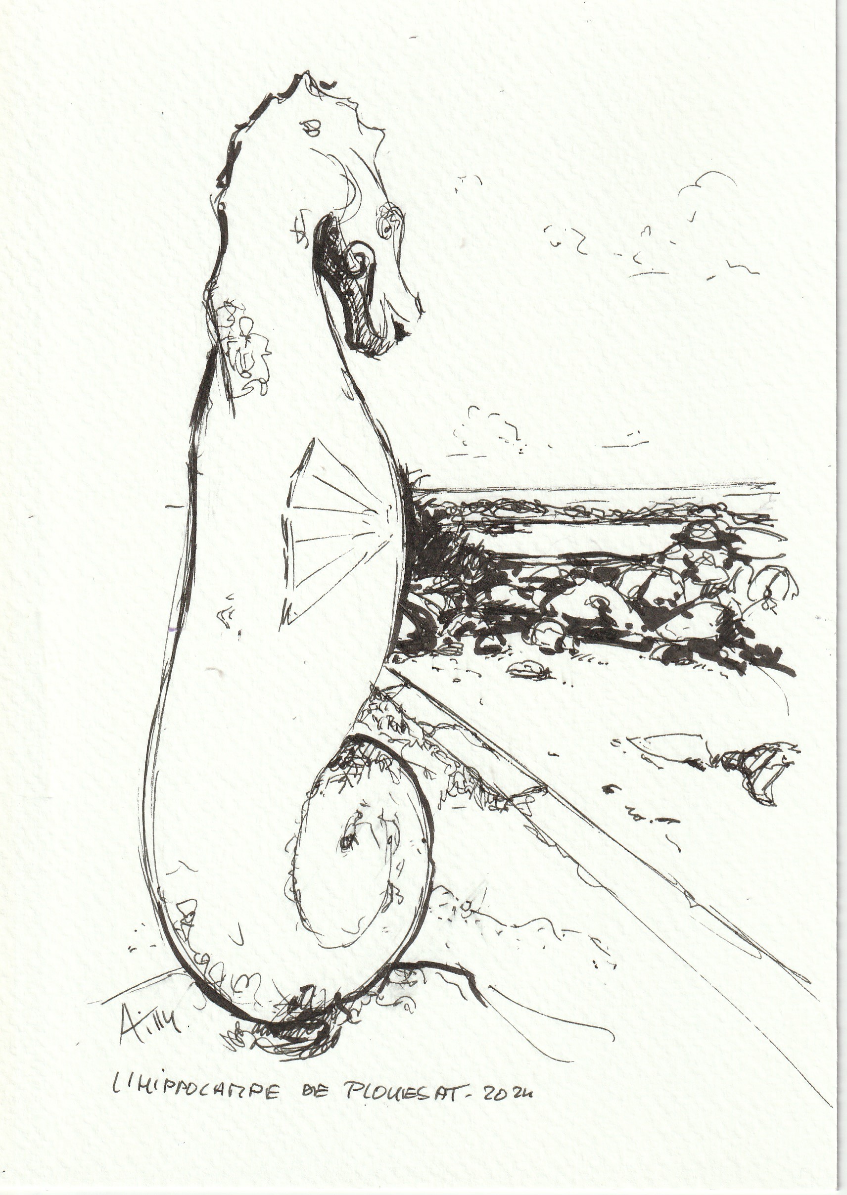 Croquis feutres, Hippocampe de Plouescat, Finistère, Bretagne.
