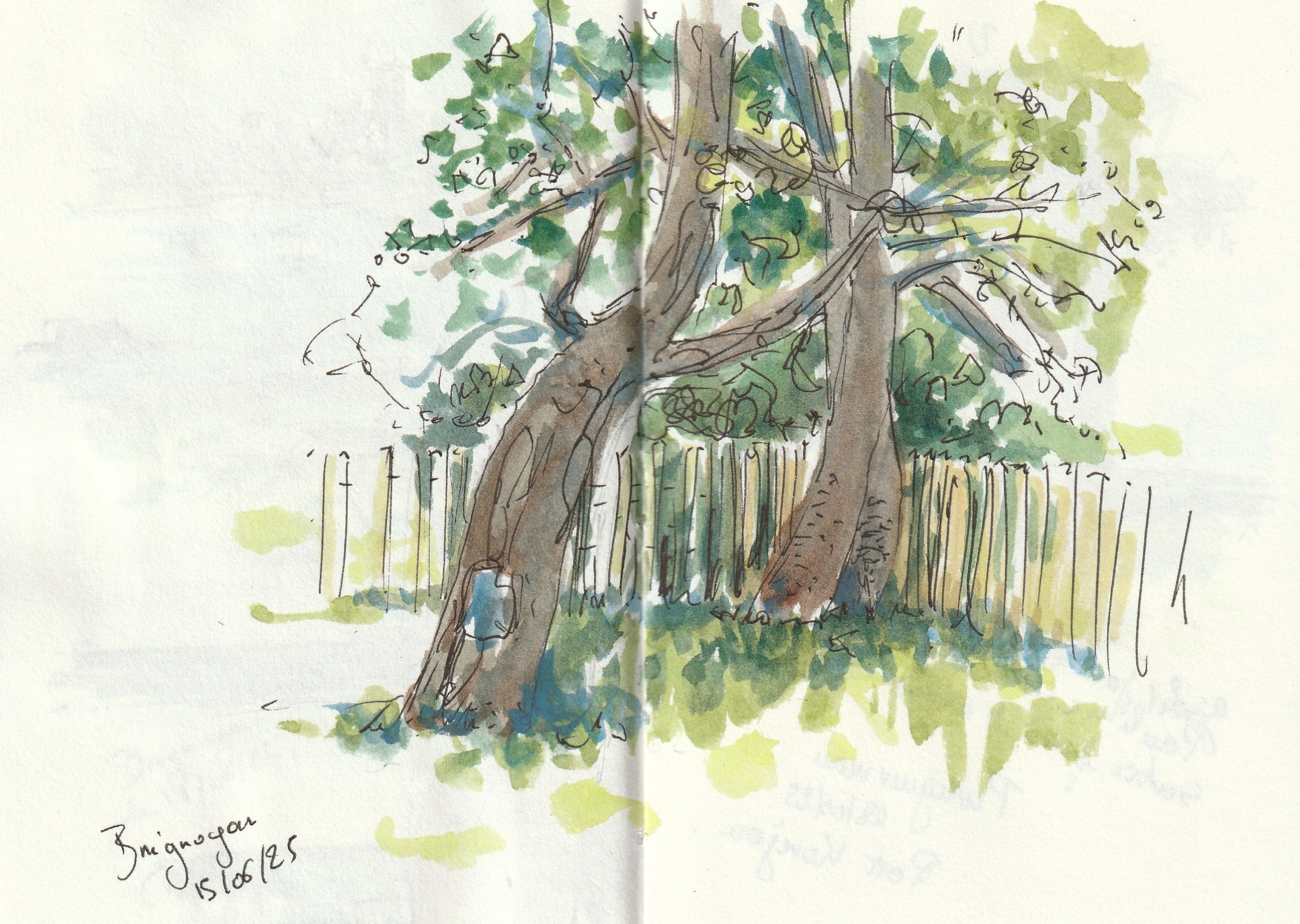 Croquis sur le vif, feutres et aquarelle 2025
Brignogan, 