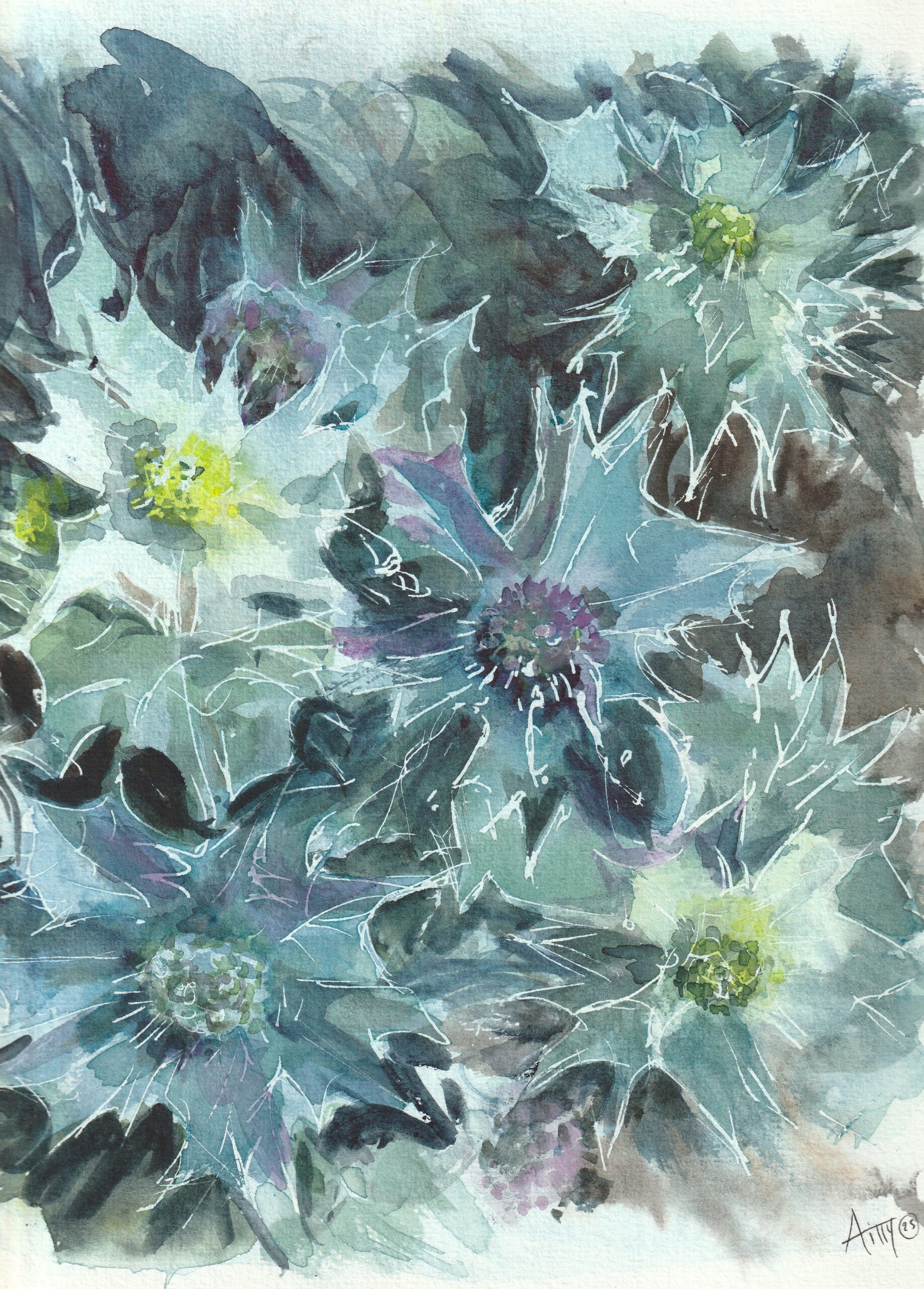 Aquarelle Chardons bleus
Côtes bretonnes 07/2025
aquarelle 24x30
