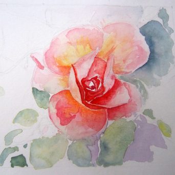 Pentax Digital Camera